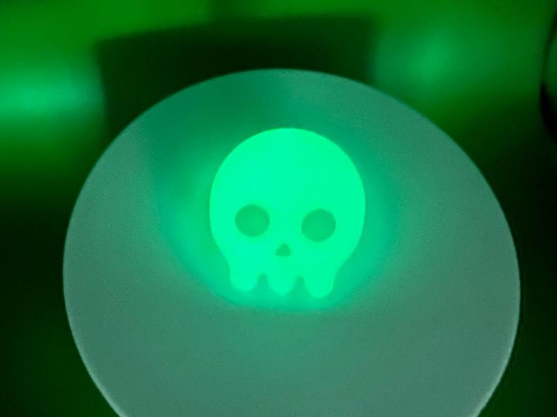 Skull Magnet Glow in the Dark!