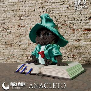 Anacleto the ancient mage