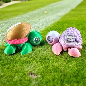 Sports Baby Turtles - Pack 2 Football and Cheer