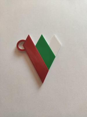 Zagłębie Sosnowiec Keychain