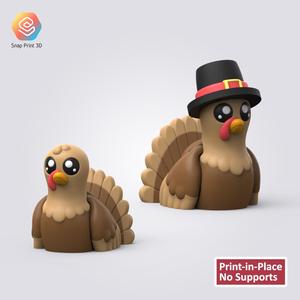 Flexi Turkey