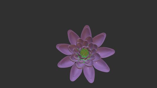 Lotus flower
