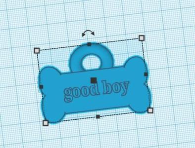 good boy dog tag
