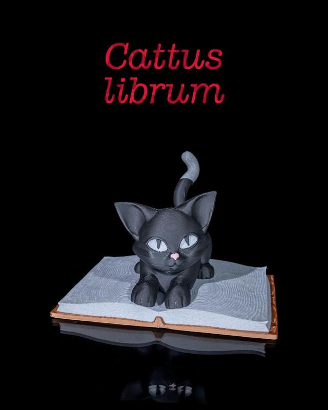 Cattus Librum