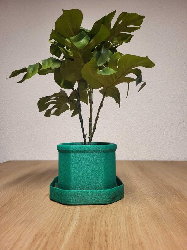 Flower pot with saucer