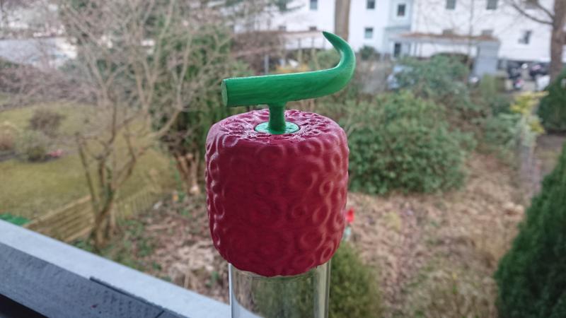 Kiro Kiro no Mi - Miss Valentine