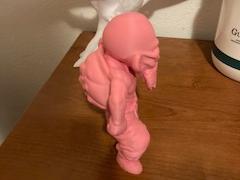 Turtle Hermit Dragon Ball