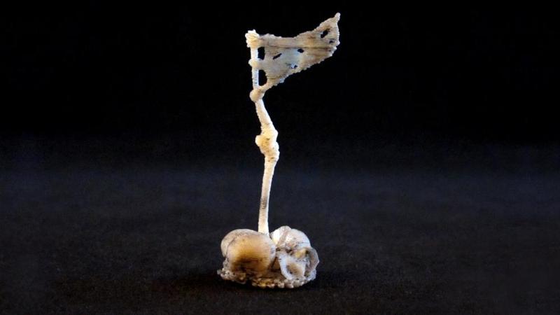 Seej Battle Flag, Charnel