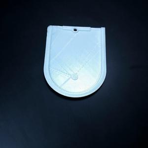 Shiny Elzing-Snicket