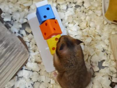 Hamster Cube Toy (DJ Turntable)