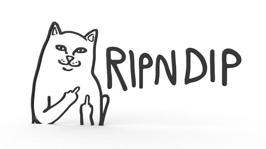 ripndip logo