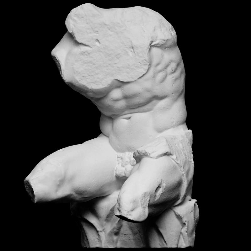 Belvedere Torso