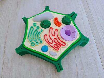 Plant Cell adapted for the blind