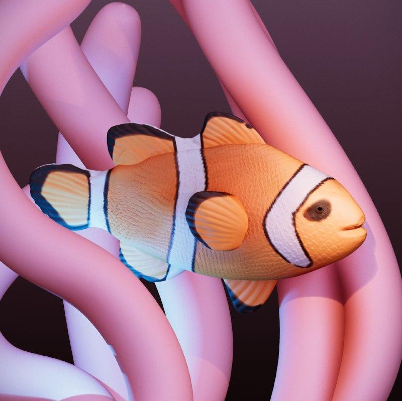 Clownfish, Clownfish