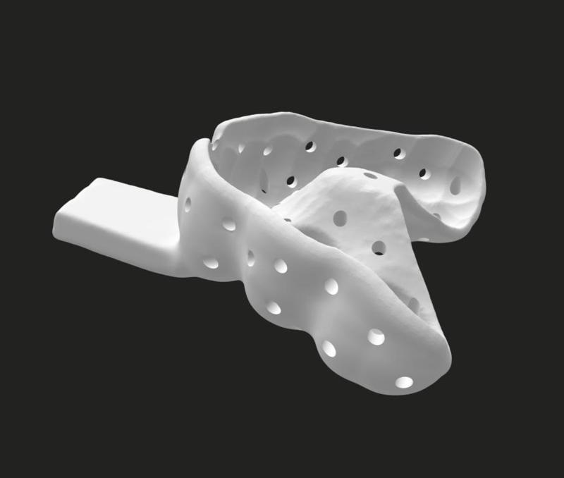 Dental Demo Upper Maxilla & Special Tray_001