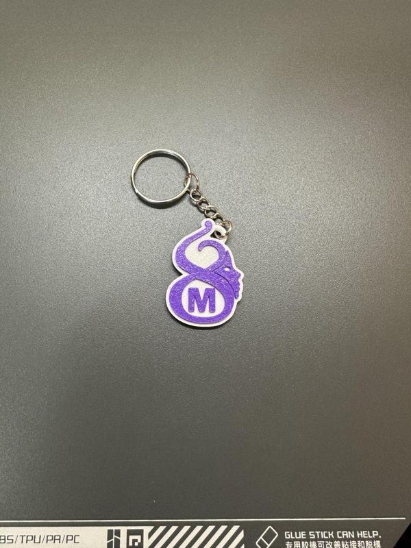 Key ring 8m 2024