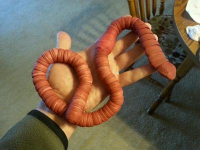 Hermie, the GIANT earthworm