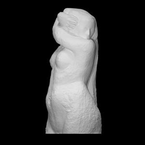 Woman's Torso by Sergei Koltsov