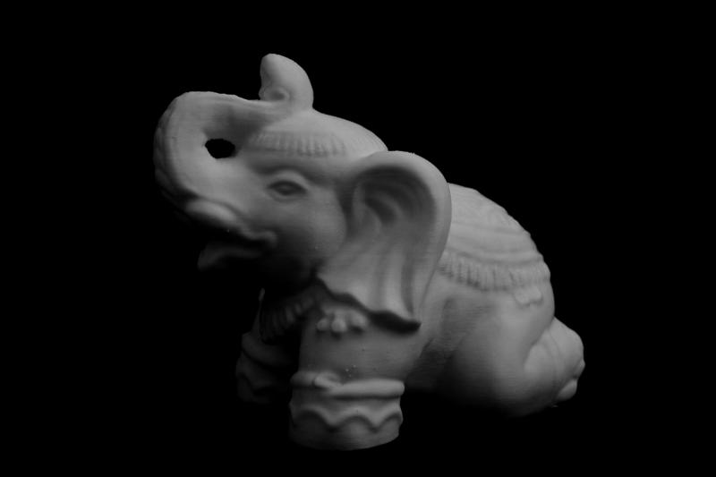 Elephant in Oakland, California