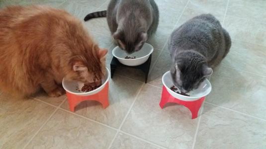 Stackable Bowl Stand