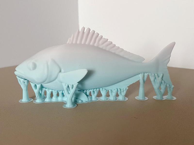 Toy Fish Koi (Easy Support Removal, Stunning Visuals)