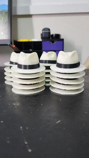Chapeu panamá / Panamá Hat
