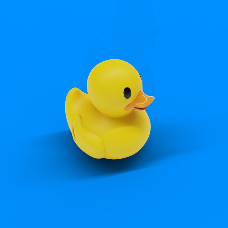duck toy