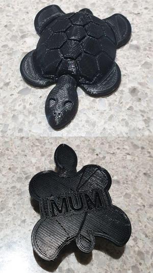 Mothers Day Turtle ('MUM' Imprinted on Underside)