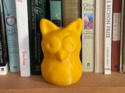 Lucky Golden Owl