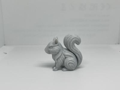 Cute Squirrel decor