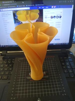 Spiralize Outer Contour Vase