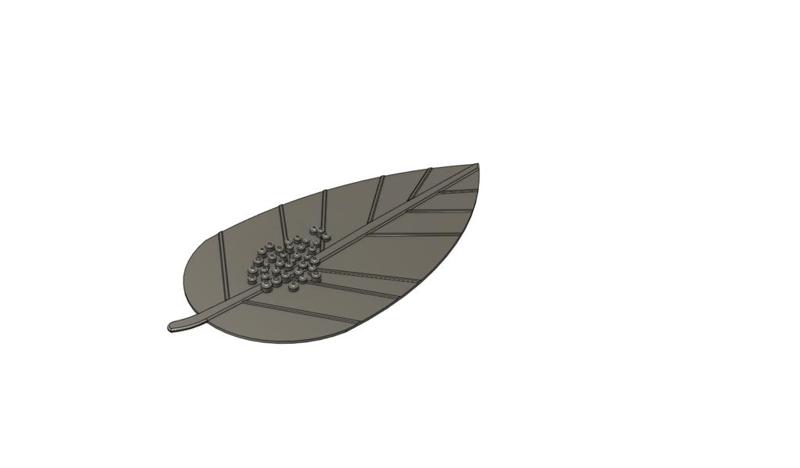 Butterfly Eggs and Chrysalis