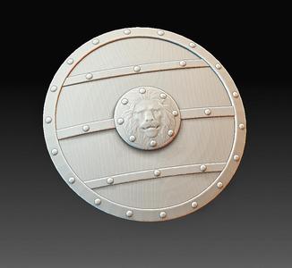 Viking shield