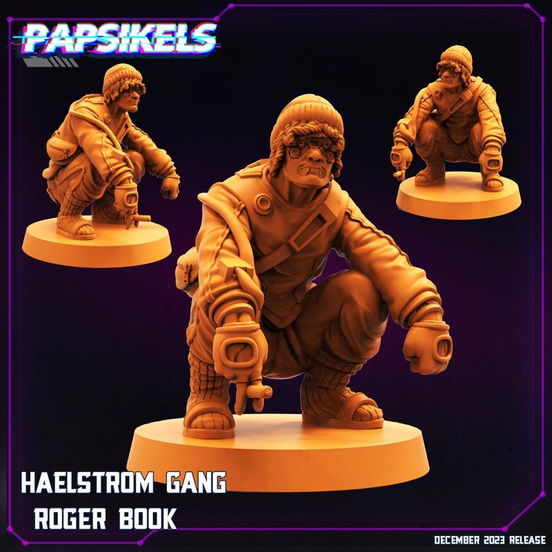 HAELSTROM GANG ROGER BOOK