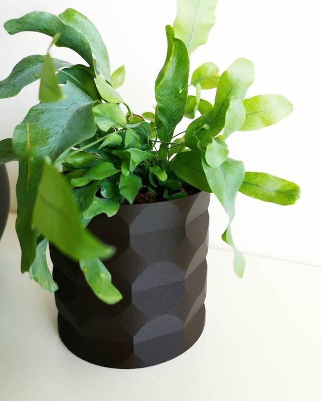 Flower Pot / Vase