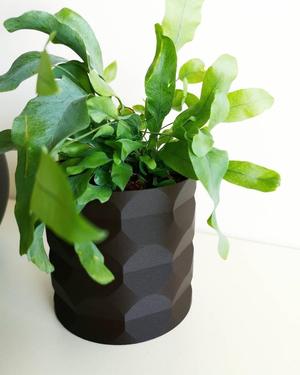 Flower Pot / Vase