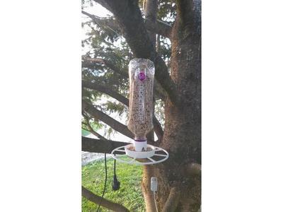 BirdFeeder for bottle screw