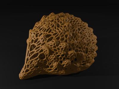 Hedgehog Voronoi