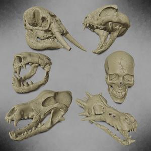 Giant skeleton