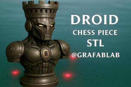Droid "Rook"
