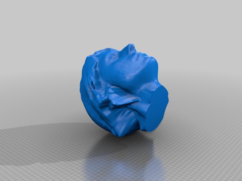scan of a head 