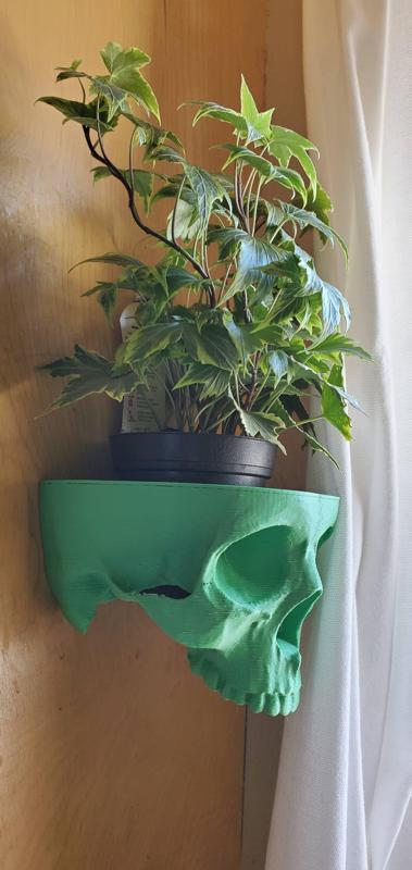 Skull Planter