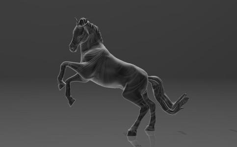 Charming Maned Noble Horse