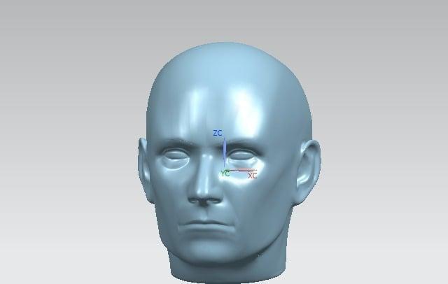 Human Head (NURBS)