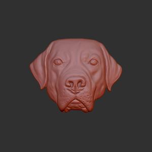 Labrador Retriever head 3d relief .stl file