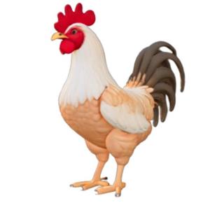 Stylized Cartoon Chicken