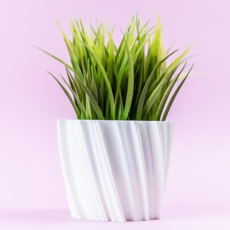 Natural Spiraling Succulent Planter