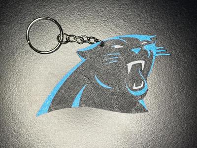 Carolina Panthers