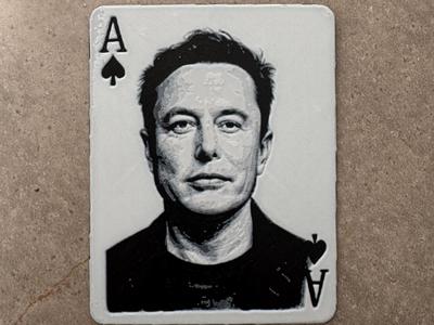 Elon Ace in the whole