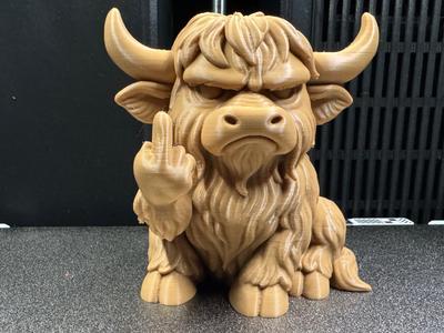 Grumpy Hochlandrind